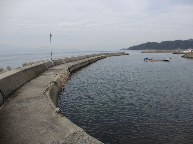 広島県立花港の釣りポイント
